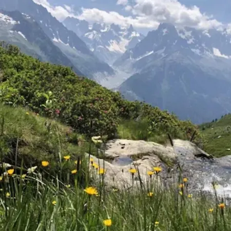 Cozy Mont-blanc View Location Apartamento